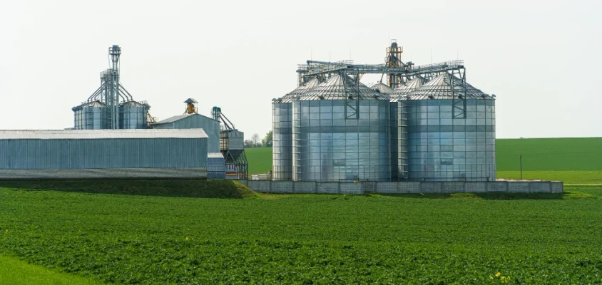 Сучасне виробництво: які негативні наслідки для довкілля?