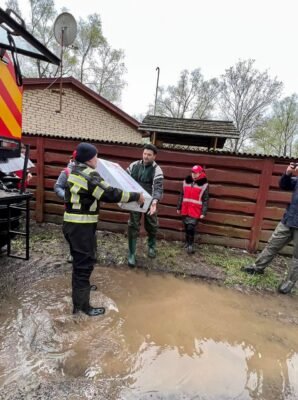 Догляд за травою Готьє: поради для здорового та пишного газону