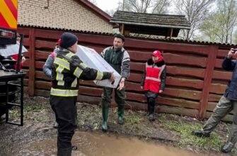 Догляд за травою Готьє: поради для здорового та пишного газону