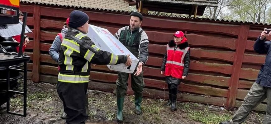 Догляд за травою Готьє: поради для здорового та пишного газону