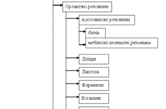 Вплив маминого харчування на якість та склад грудного молока