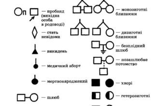 Як скласти власний родовід: покрокова інструкція для початківців