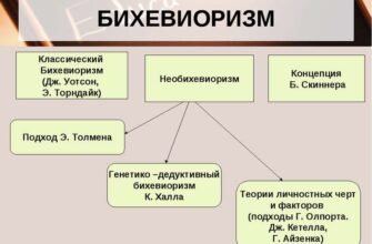 Біхевіоризм: Що це таке і як він впливає на нашу поведінку?