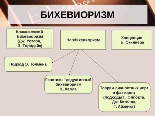 Біхевіоризм: Що це таке і як він впливає на нашу поведінку? Біхевіоризм: Що це таке і як він впливає на нашу поведінку?