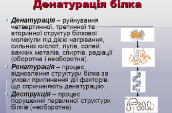 Денатурація: процес, типи та значення в різних наукових сферах