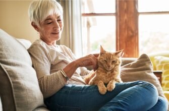 Скільки живуть коти: що впливає на тривалість життя