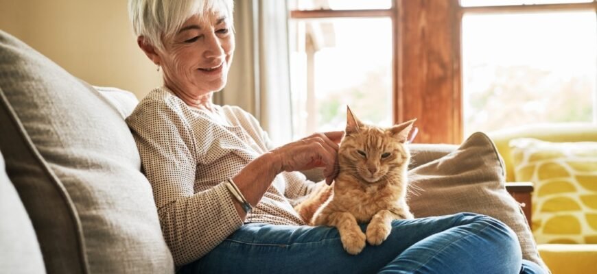 Скільки живуть коти: що впливає на тривалість життя