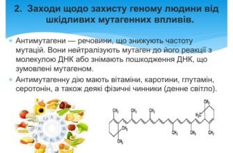 Антимутагени: як захистити свій організм від мутацій на клітинному рівні