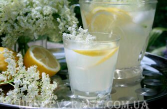 Як виготовити вино з бузини: покрокова інструкція для початківців