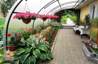 Як самостійно збудувати надійний і стильний навіс до будинку