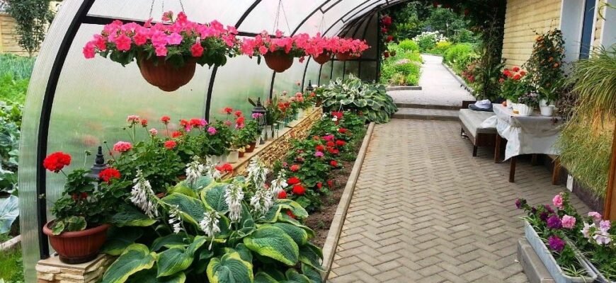 Як самостійно збудувати надійний і стильний навіс до будинку