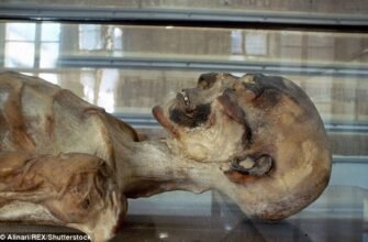 Процес бальзамування: методи, технології та історичні аспекти