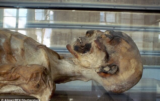 Процес бальзамування: методи, технології та історичні аспекти