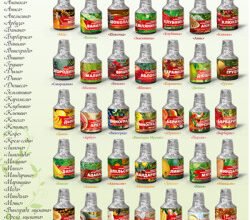 Есенція: що це таке і як використовувати в повсякденному житті