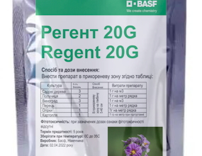Регент це: все, що потрібно знати про використання та ефективність