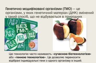 ГМО: Що Це Таке і Який Вплив Має на Здоров’я Людини?