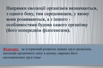 Філогенез: що це таке і як він допомагає зрозуміти еволюцію видів?