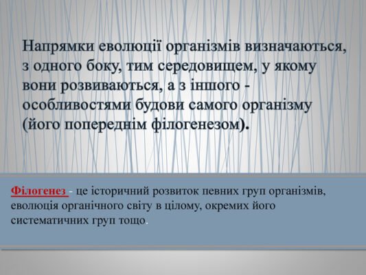 Філогенез: що це таке і як він допомагає зрозуміти еволюцію видів?