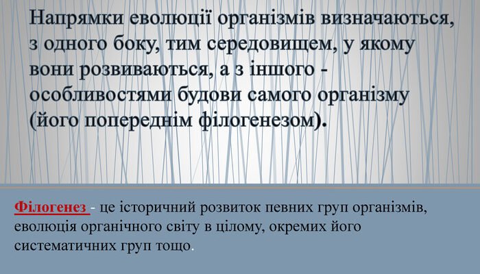 Філогенез: що це таке і як він допомагає зрозуміти еволюцію видів?