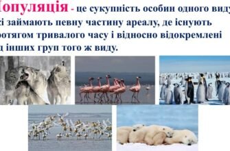 Популяція: що це таке і як вона впливає на наше життя?