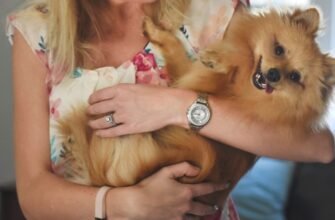 Породи собак для квартири. Топ-8 порід