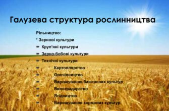 Рільництво: визначення, методи та сучасне значення для агросектору