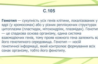 Генотип: що це таке і як він впливає на успадкування ознак?