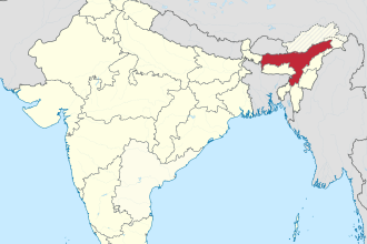 Ассам: Історія, Культура та Чайна Спадщина Цієї Індійської Провінції