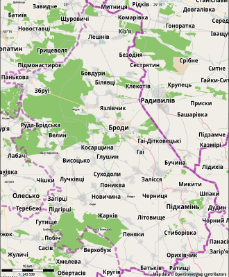 Бродівський район: історія, культура та сучасність регіону України