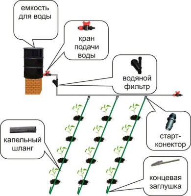 Як самостійно облаштувати систему крапельного поливу на городі Як самостійно облаштувати систему крапельного поливу на городі