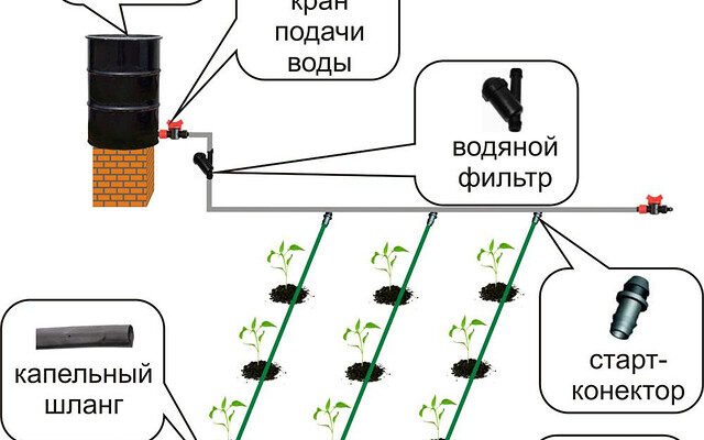 Як самостійно облаштувати систему крапельного поливу на городі