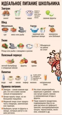 Як самостійно скласти ефективний раціон харчування: прості кроки та поради