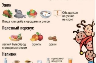 Як самостійно скласти ефективний раціон харчування: прості кроки та поради