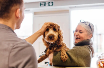 Гіпоалергенні корми для тварин: Міфи та Правда про білок