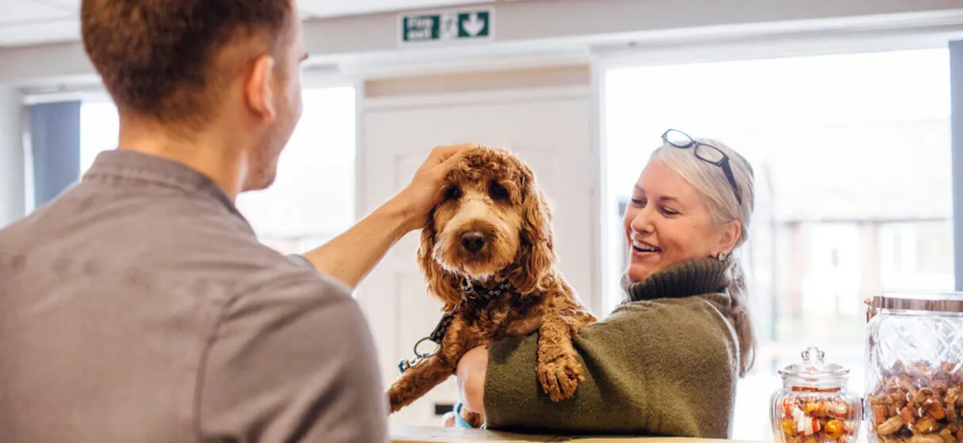 Гіпоалергенні корми для тварин: Міфи та Правда про білок
