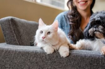 Як зрозуміти, що корм не підходить тварині?