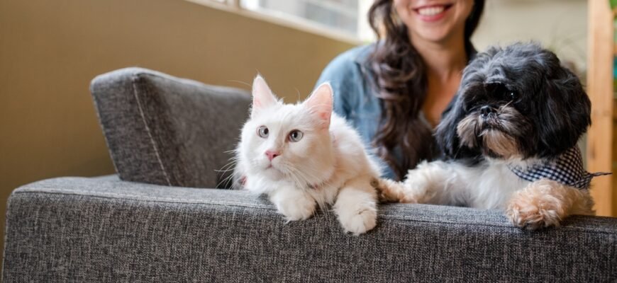 Як зрозуміти, що корм не підходить тварині?