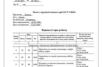 Як самостійно отримати витяг з трудової книжки: покрокова інструкція