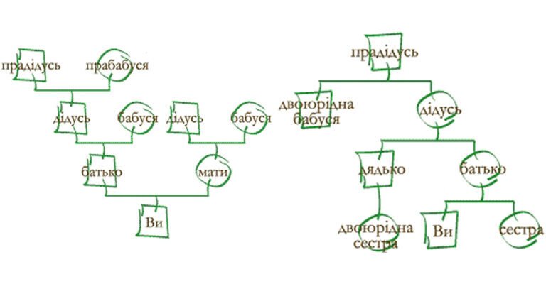 Як скласти свій родовід: покрокова інструкція для генеалогічного дослідження