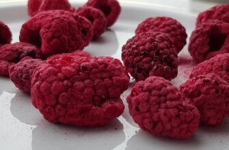 Як самостійно виготовити сублімовану малину: покрокова інструкція