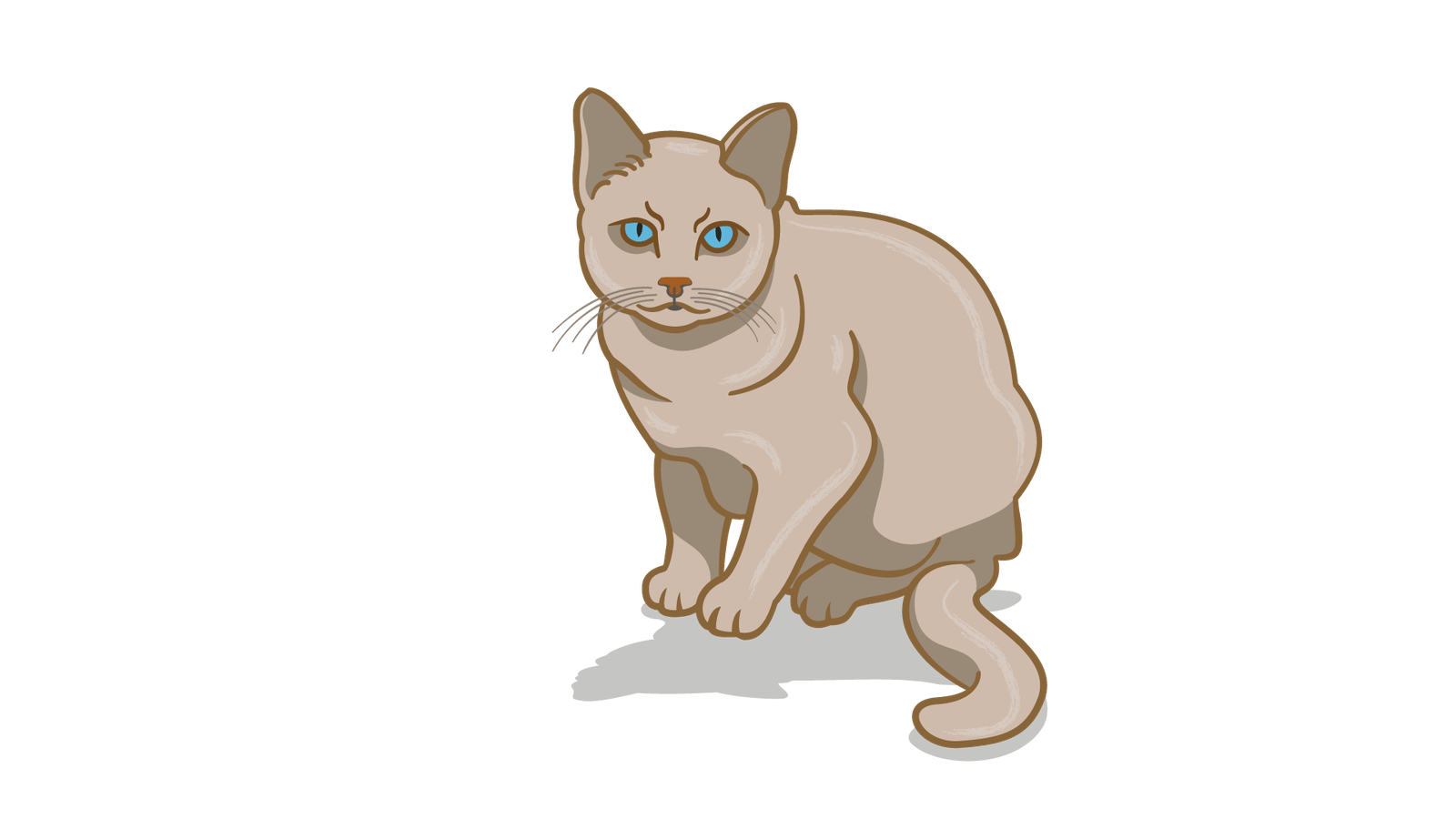 Мова тіла засмученого кота