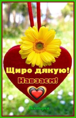 Але я люблю тебе і мовчати про це вже не можу