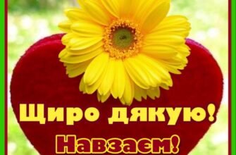 Але я люблю тебе і мовчати про це вже не можу