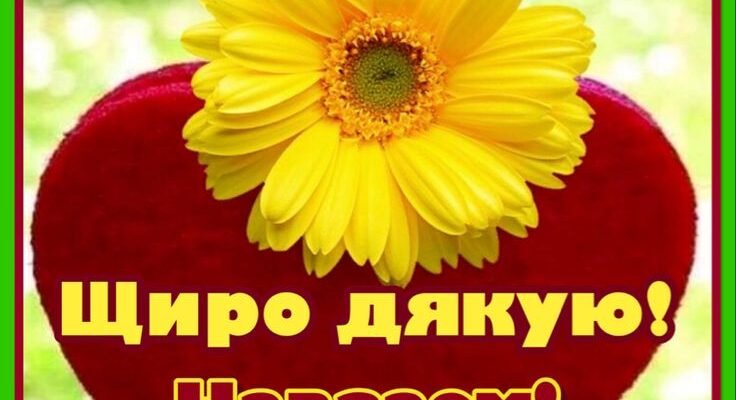 Але я люблю тебе і мовчати про це вже не можу