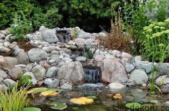 Оформлення та створення альпінарію: поради для вашого саду