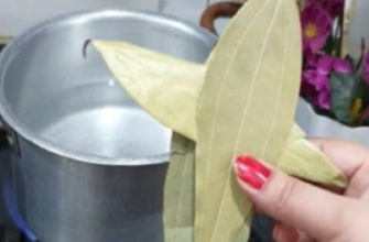 Анчан: що це за напій і як він впливає на ваше здоров’я?