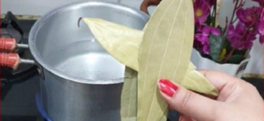 Анчан: що це за напій і як він впливає на ваше здоров’я?