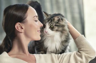 Алергія на котів: причини, алергени, симптоми та профілактика