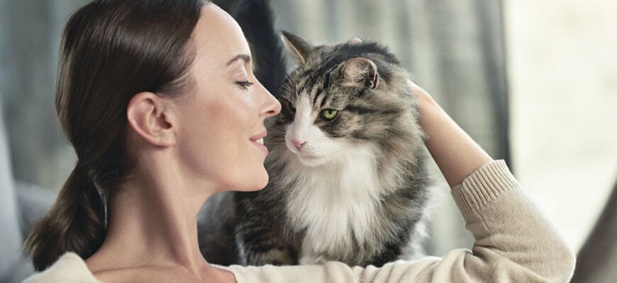 Алергія на котів: причини, алергени, симптоми та профілактика