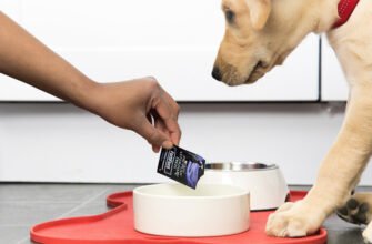 Пробіотики для собак: що це таке і коли їх використовувати?